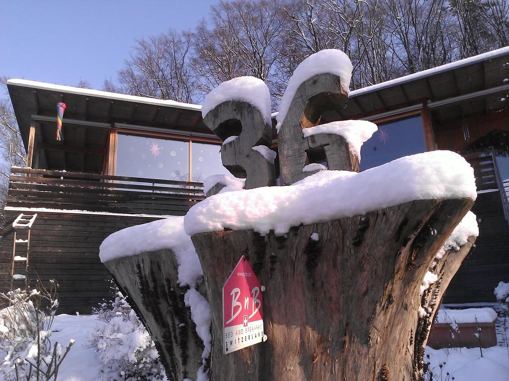 B&B Sunnesite Pratteln Kültér fotó