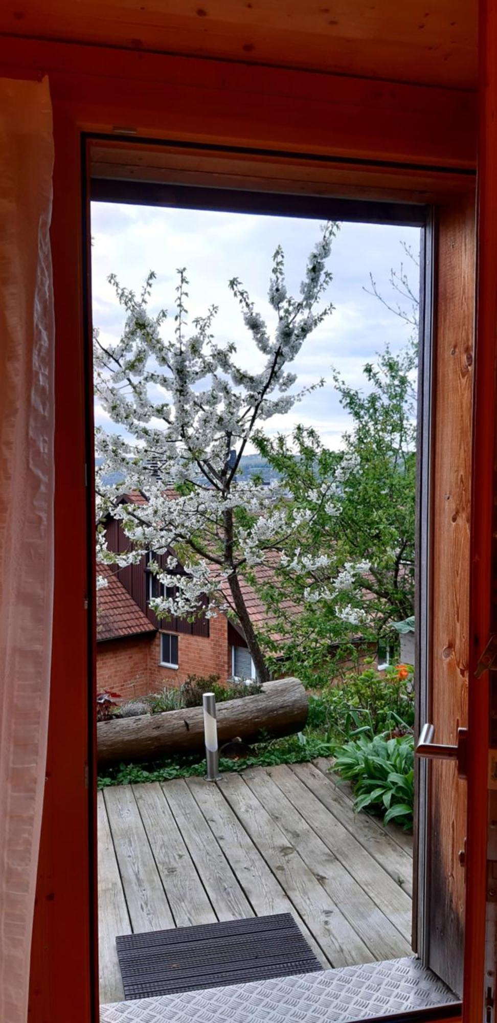 B&B Sunnesite Pratteln Kültér fotó