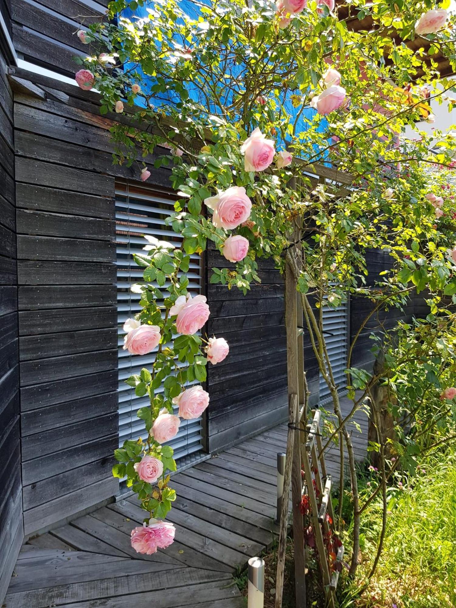 B&B Sunnesite Pratteln Kültér fotó